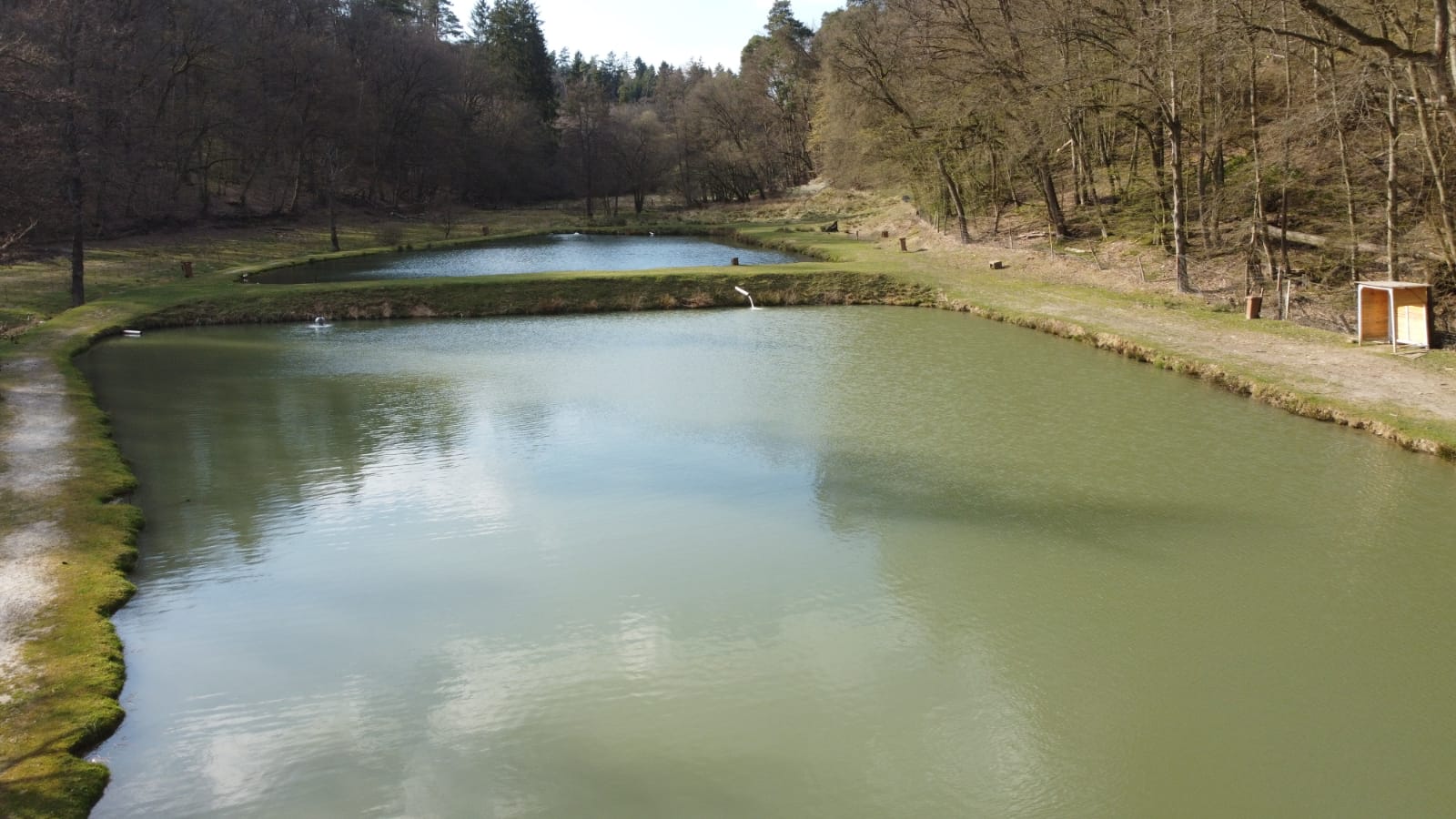 Kiloteich #2 Naturefish Kiloteich #2 Naturefish