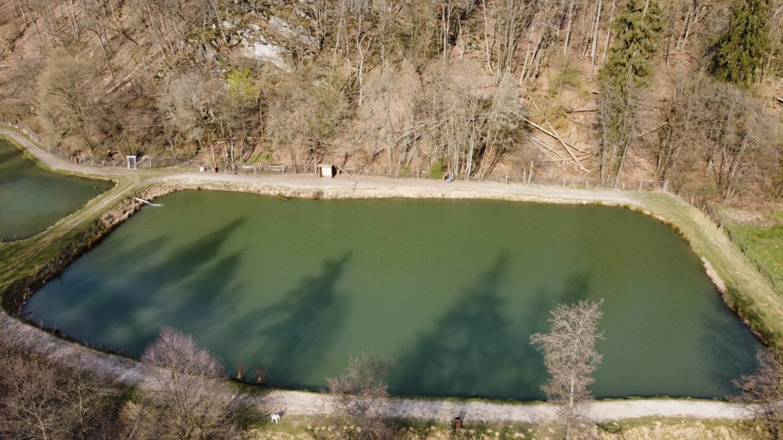 Kiloteich #2 Naturefish