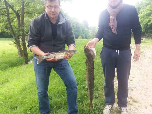 Zander und Hecht an Teich #4 geangelt
