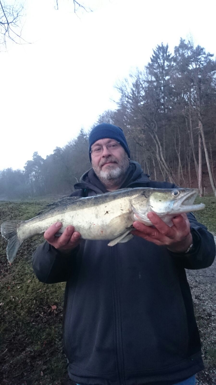 Dieser 4,0 Kg schwere Zander wurde am 10.12.2015 an Teich #4 gefangen
