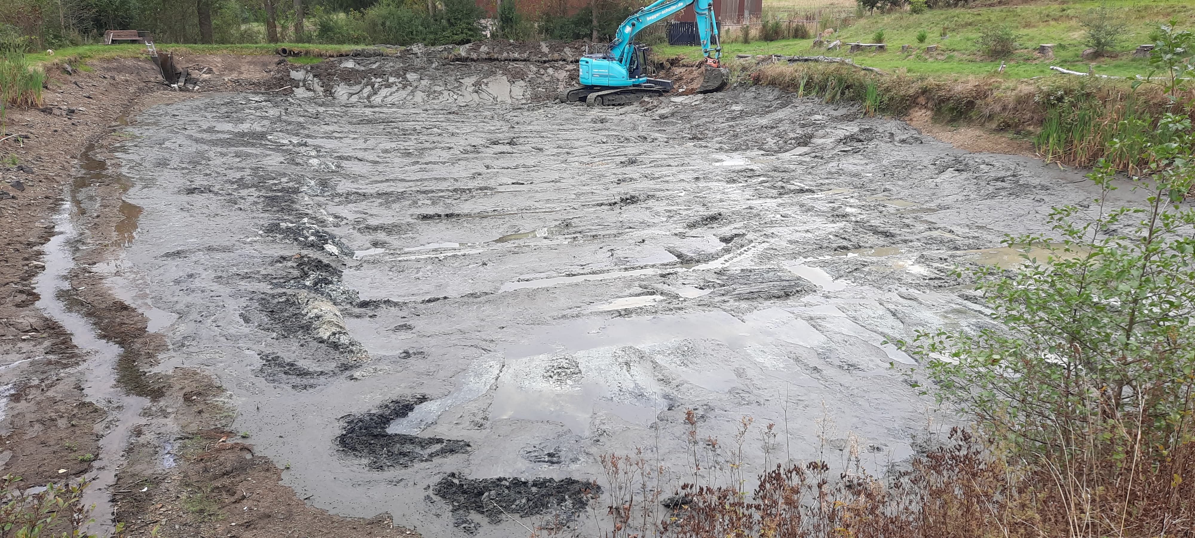 Teich Entschlammung 2024.10