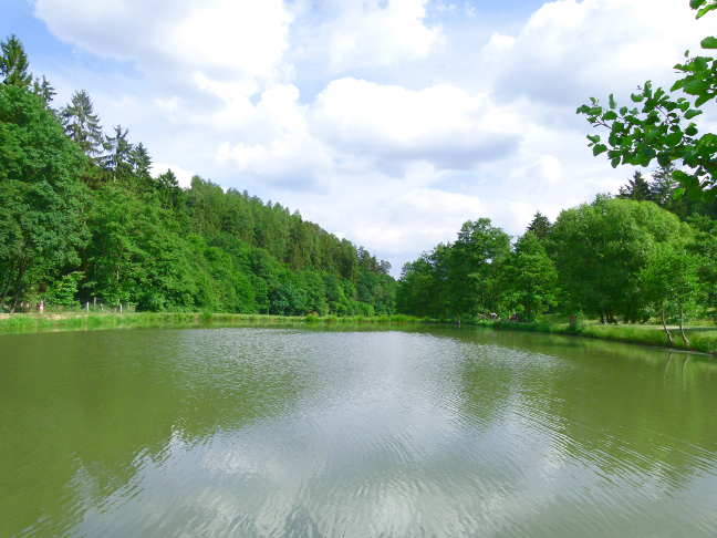 Naturefish Teich 4