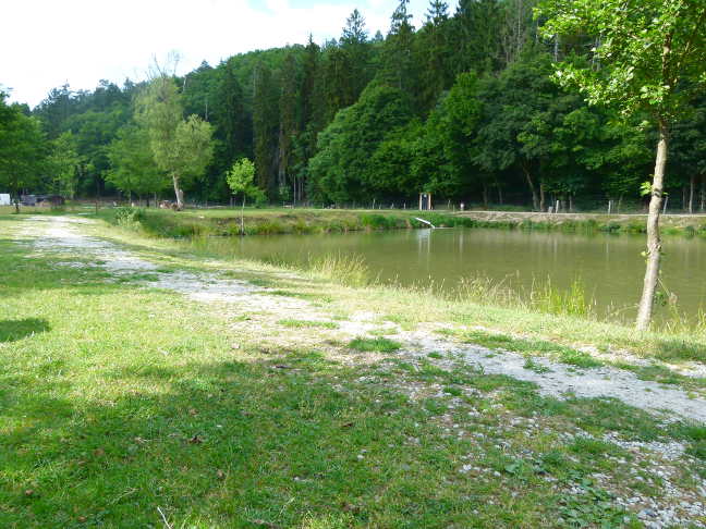 Naturefish Teich 4